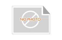 Portable Axle Scales Wim Weigh In Motion Scales Lorry Axle Weight Scales Truck Weigh Pads