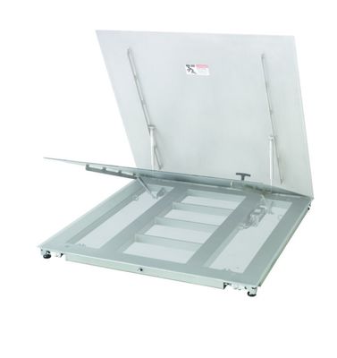Industrial Lift Floor Scale PFA779lift-DS300A - Durable Platform with Easy Maintenance Access