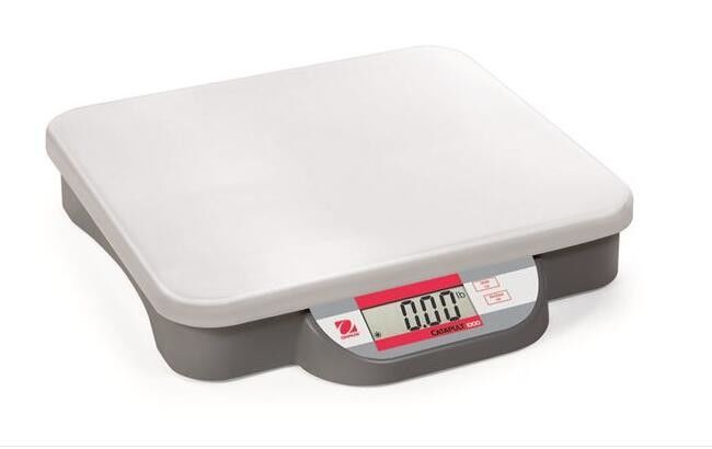 Veterinary Weighing Bench Platform Scales Industrial Weight Bench 280 Mm X 316 Mm